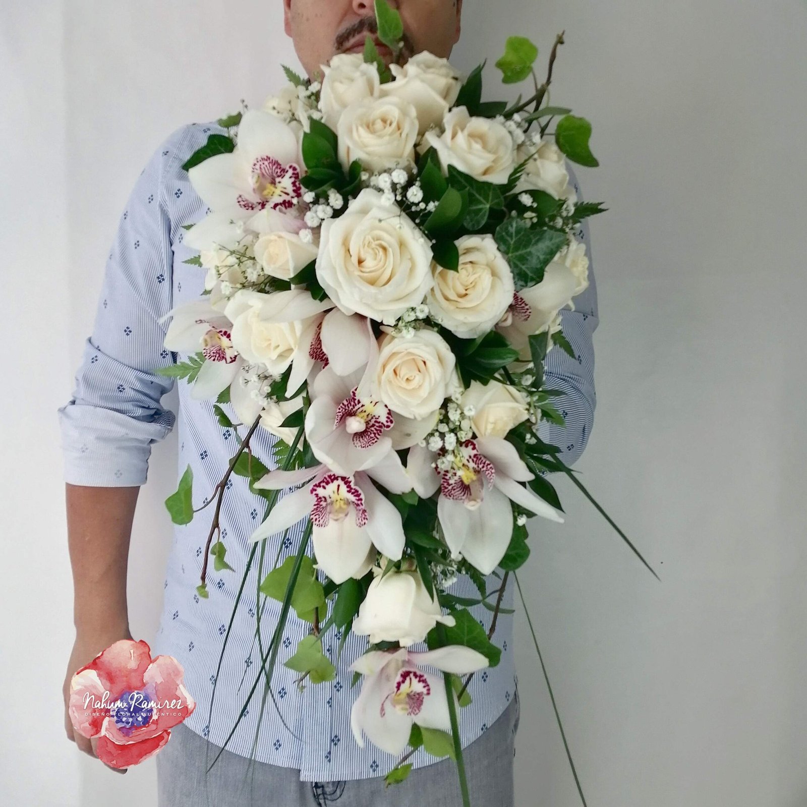 The Squire, a dark red David Austin shrub rose, image size:1600x1600